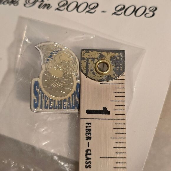 Vintage CBA Gary Steelheads Basketball Pin 2002 - 2003 - Picture 3 of 5
